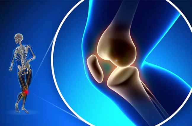 knee replacement in jammu