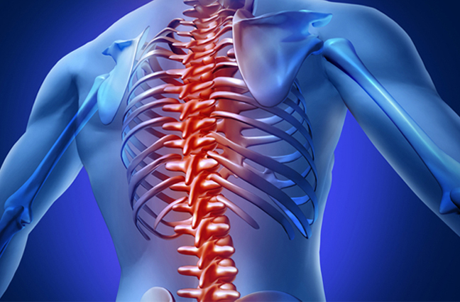 Spine Surgery